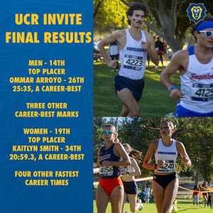 Image post by @vulions on Instagram