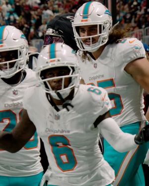 Image post by @miamidolphins on Instagram