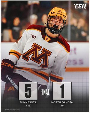 Image post by @everythingcollegehockey on Instagram