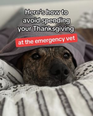 Image post by @americanredcross on Instagram