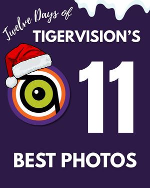Image post by @cutigervision on Instagram