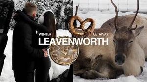 Video post by @lizaotovo on YouTube