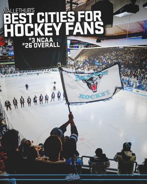 Image post by @blackbearhockey on Instagram