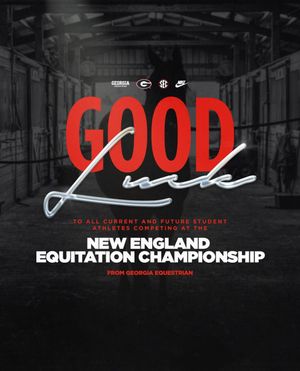Image post by @ugaequestrian on Instagram