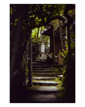 Image post by @W.39thPhotos on Facebook