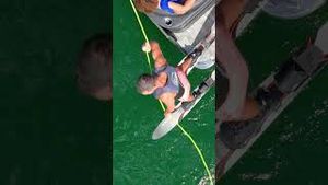 Video post by @crestmarinellc on YouTube