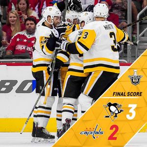 Image post by @penguins on Instagram