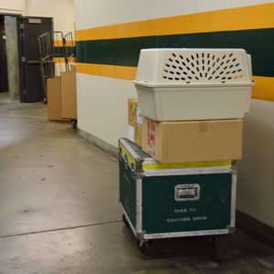 Image post by @athletics on Instagram
