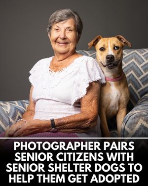 Image post by @weratedogs on Instagram