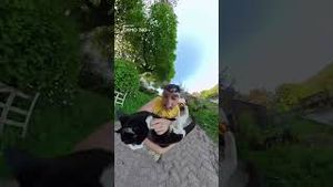 Video post by @dji on YouTube