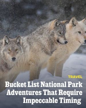 Image post by @outsidemagazine on Instagram