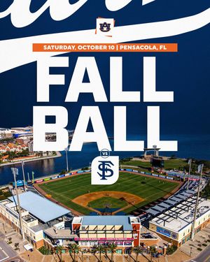 Image post by @auburnbaseball on Instagram