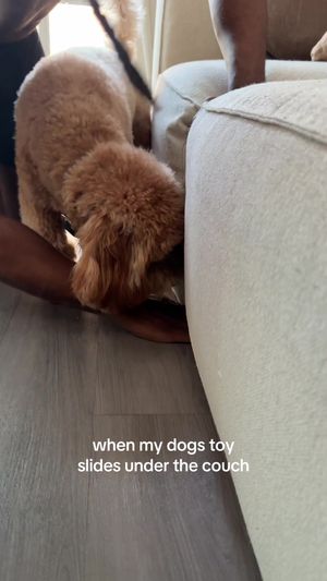 Video post by @tedflixnchill on TikTok