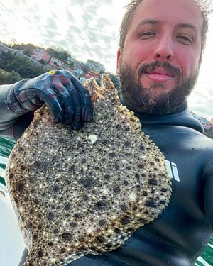 Image post by @erdo_bey_spearfishing on Instagram