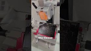 Video post by @who on YouTube