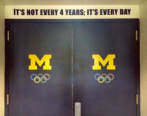 Image post by @umichswimdive on Twitter/X