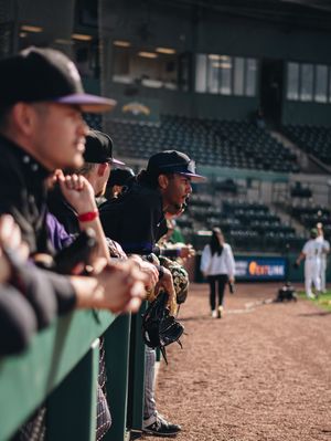 Image post by @sfa_baseball on Instagram