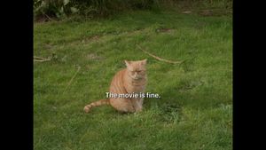 Image post by @letterboxd on Instagram