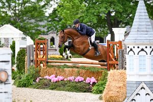 Image post by @kyhorseshows on Instagram
