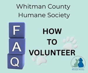 Image post by @whitmanpets on Instagram