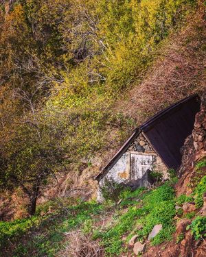 Image post by @cristan.nature.photography on Instagram