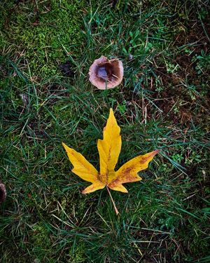 Image post by @evgenyvasenev on Instagram