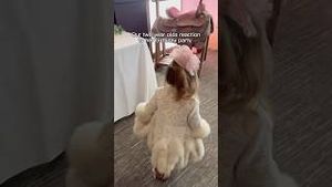 Video post by @happilyevansafterr on YouTube
