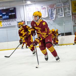 Image post by @cmuhockeyd3 on Instagram