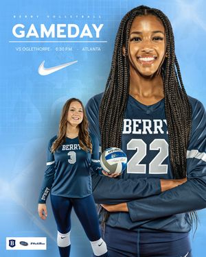 Image post by @BerryVikings on Twitter