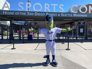 Image post by @picklesbaseball on Instagram