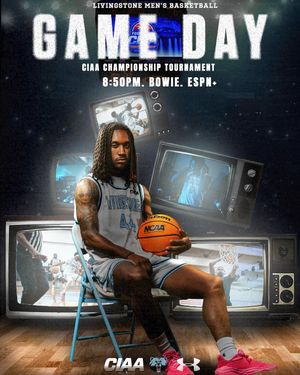 Image post by @bluebearathletics on Instagram