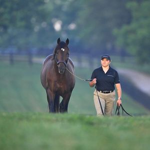 Image post by @spendthriftfarm on Instagram
