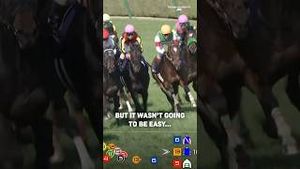 Video post by @worldhorseracing on YouTube