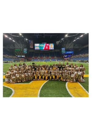 Image post by @ndsucheer on Instagram
