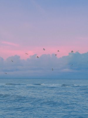 Image post by @alexkittoephotos on Instagram