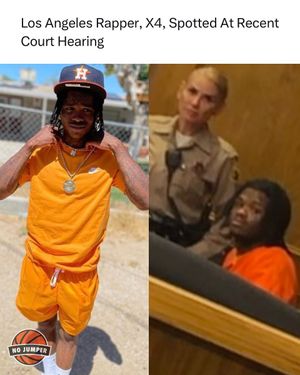 Image post by @nojumper on Instagram