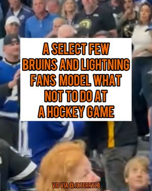 Image post by @hockeyfights on Instagram
