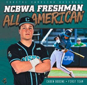 Image post by @CoastalBaseball on Twitter