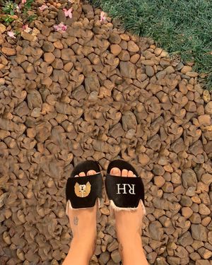 Image post by @pantudog on Instagram