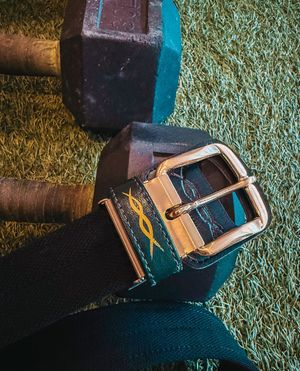 Image post by @coreenergybelt on Instagram