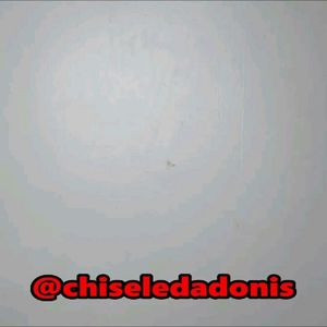 Image post by @chiseledadonis on Instagram