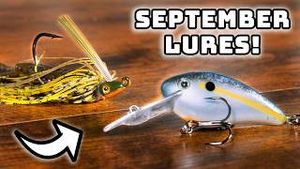 Video post by @tylersreelfishing on YouTube