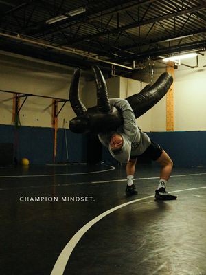 Video post by @rudis_wrestling on TikTok
