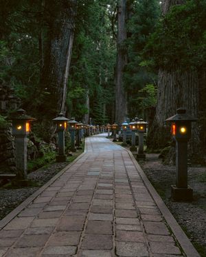 Image post by @alexorchilles on Instagram