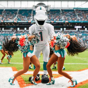 Image post by @dolphinscheer on Instagram