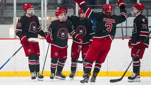 Image post by @iuphockey_d1 on Instagram