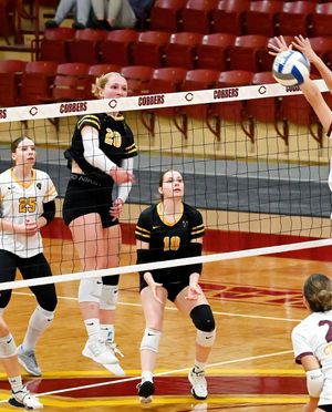 Image post by @gustieathletics on Instagram
