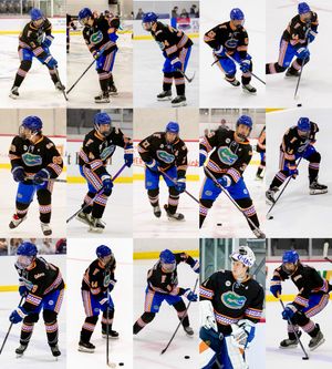Image post by @ufhockey on Instagram