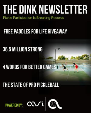 Image post by @DinkPickleball on Twitter