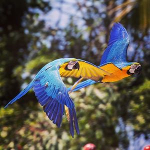 Image post by @sandiegozoo on Instagram